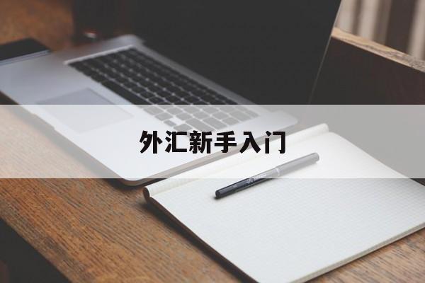 外汇新手入门(初学者外汇入门)